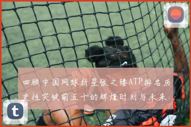 回顾中国网球新星张之臻ATP排名历史性突破前五十的辉煌时刻与未来展望