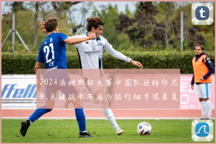 2024汤姆斯杯决赛中国队逆转印尼队关键战术布局与执行细节深度复盘